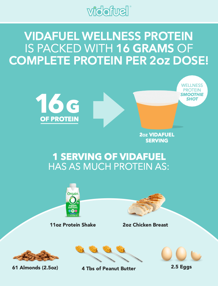 Wellness Protein Drink - 2 Pack