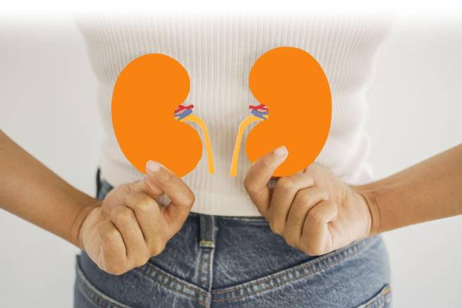 Kidney Health | National Kidney Foundation